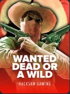 Wanted Dead or a Wild